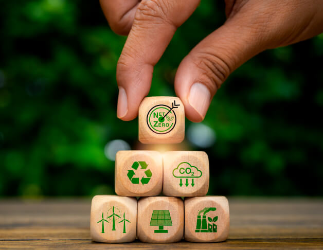 understanding-program-img